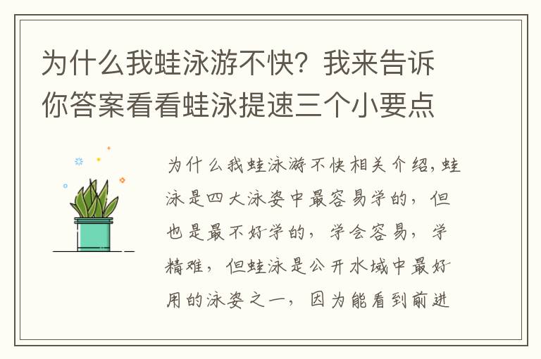 为什么我蛙泳游不快？我来告诉你答案看看蛙泳提速三个小要点