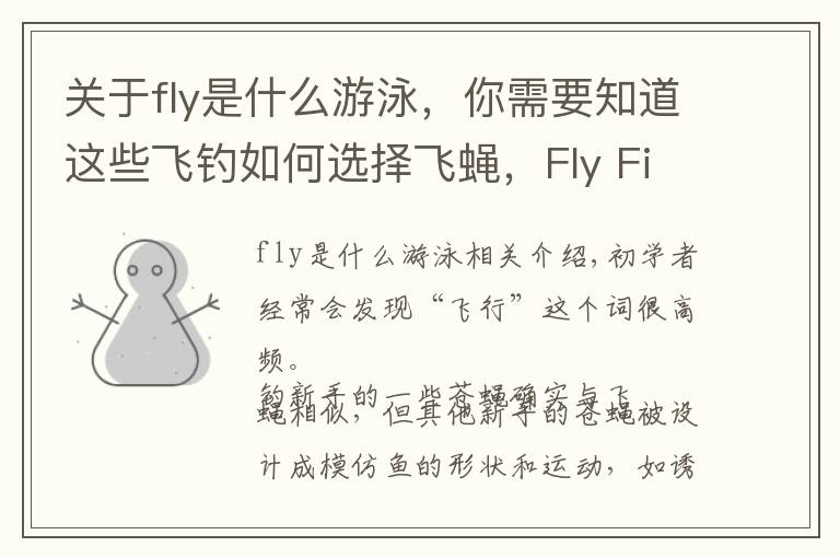 关于fly是什么游泳，你需要知道这些飞钓如何选择飞蝇，Fly Fishing Flies