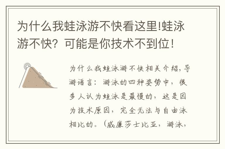 为什么我蛙泳游不快看这里!蛙泳游不快？可能是你技术不到位！或许你该这么做