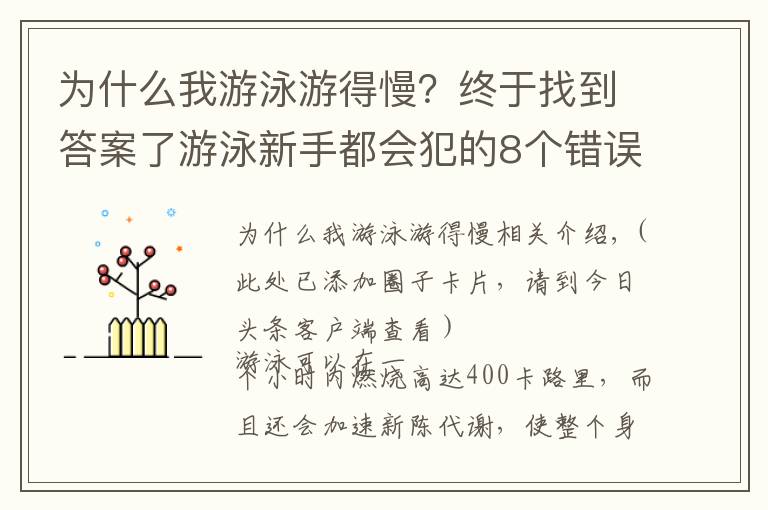 为什么我游泳游得慢？终于找到答案了游泳新手都会犯的8个错误，到底该如何修正？
