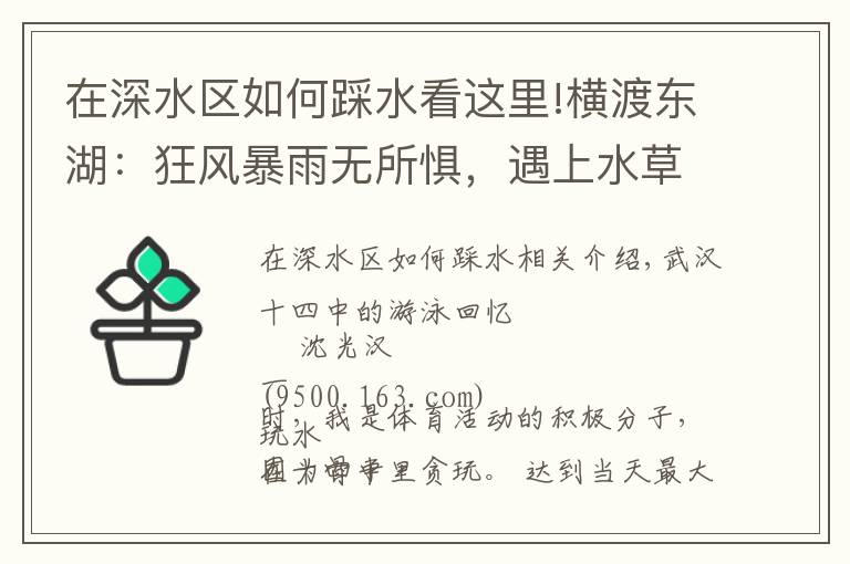 在深水区如何踩水看这里!横渡东湖：狂风暴雨无所惧，遇上水草吓破胆，代价是身上道道血痕