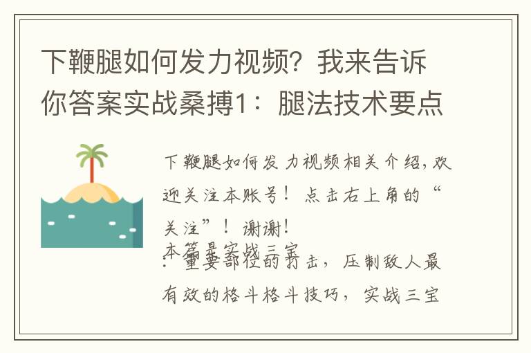 下鞭腿如何发力视频？我来告诉你答案实战桑搏1：腿法技术要点与搏击运用，教你踢出极具摧毁性的重击