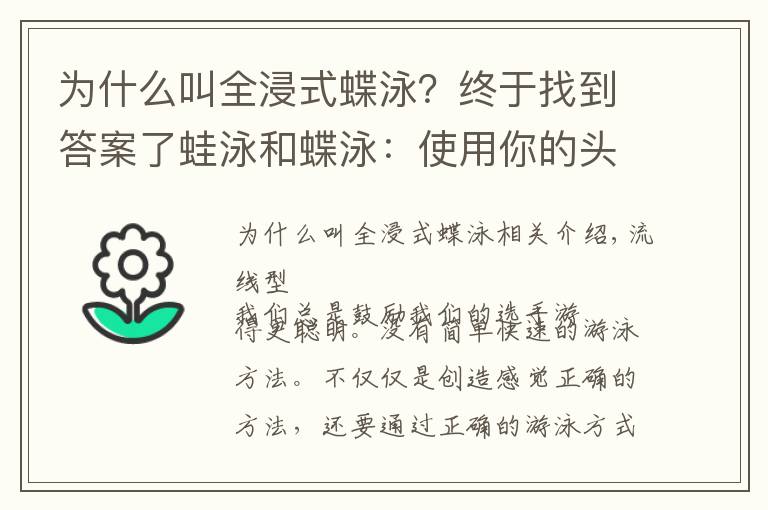 为什么叫全浸式蝶泳？终于找到答案了蛙泳和蝶泳：使用你的头部