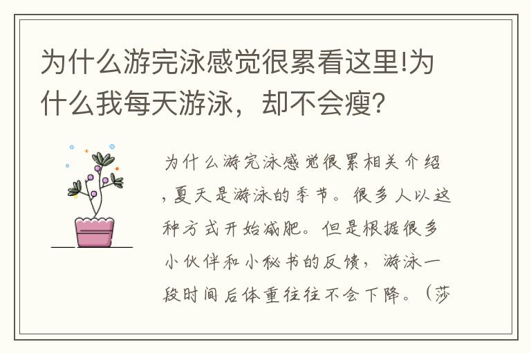 为什么游完泳感觉很累看这里!为什么我每天游泳，却不会瘦？
