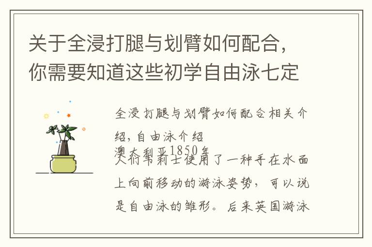 关于全浸打腿与划臂如何配合，你需要知道这些初学自由泳七定律？全浸自由泳与竞技自由泳技术上的差异