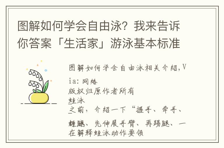 图解如何学会自由泳？我来告诉你答案「生活家」游泳基本标准姿势详细图解