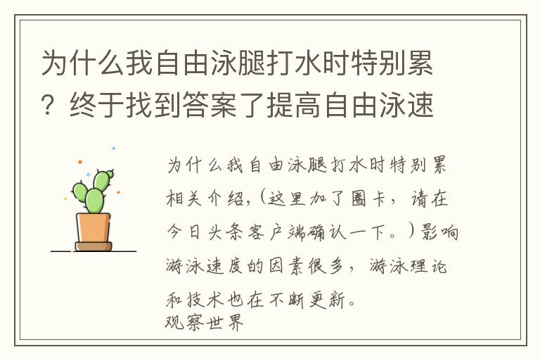 为什么我自由泳腿打水时特别累？终于找到答案了提高自由泳速度完整诀窍，“从头到脚”解析
