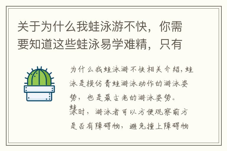 关于为什么我蛙泳游不快，你需要知道这些蛙泳易学难精，只有掌握文中技巧才能游好游快！