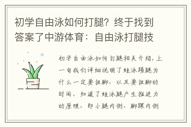 初学自由泳如何打腿？终于找到答案了中游体育：自由泳打腿技术的前进原理以及注意事项