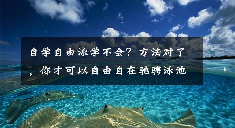 自学自由泳学不会？方法对了，你才可以自由自在驰骋泳池