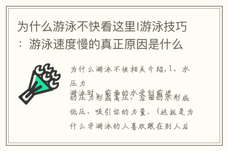 为什么游泳不快看这里!游泳技巧：游泳速度慢的真正原因是什么？