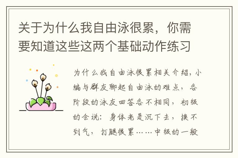 关于为什么我自由泳很累，你需要知道这些这两个基础动作练习，可以改变你的身体“拧麻花”