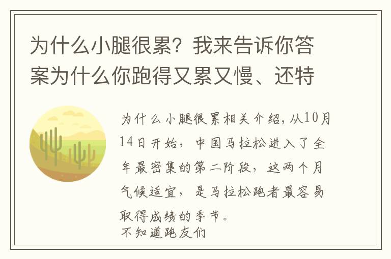 为什么小腿很累？我来告诉你答案为什么你跑得又累又慢、还特容易受伤？