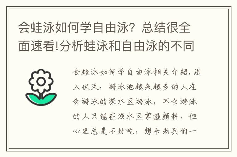会蛙泳如何学自由泳？总结很全面速看!分析蛙泳和自由泳的不同，做出选择，远离不知学啥泳姿的烦恼