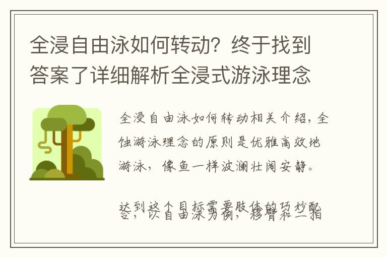 全浸自由泳如何转动？终于找到答案了详细解析全浸式游泳理念，真正掌握全浸式游泳的动作心法