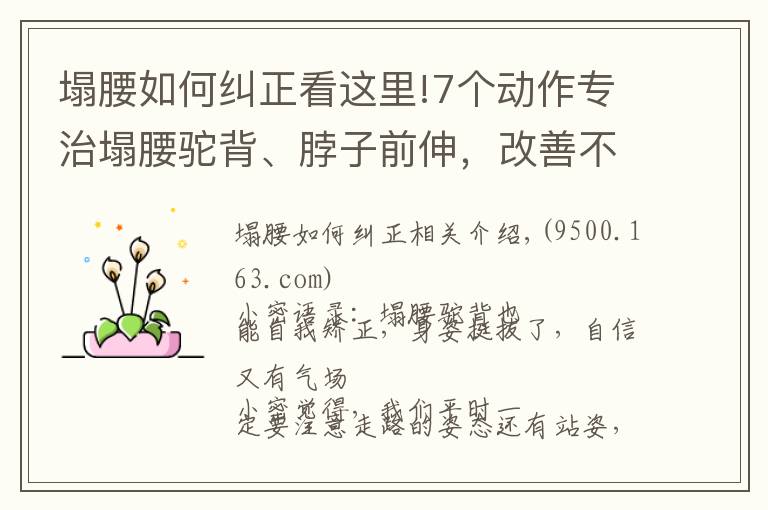 塌腰如何纠正看这里!7个动作专治塌腰驼背、脖子前伸，改善不良体态，让背直起来