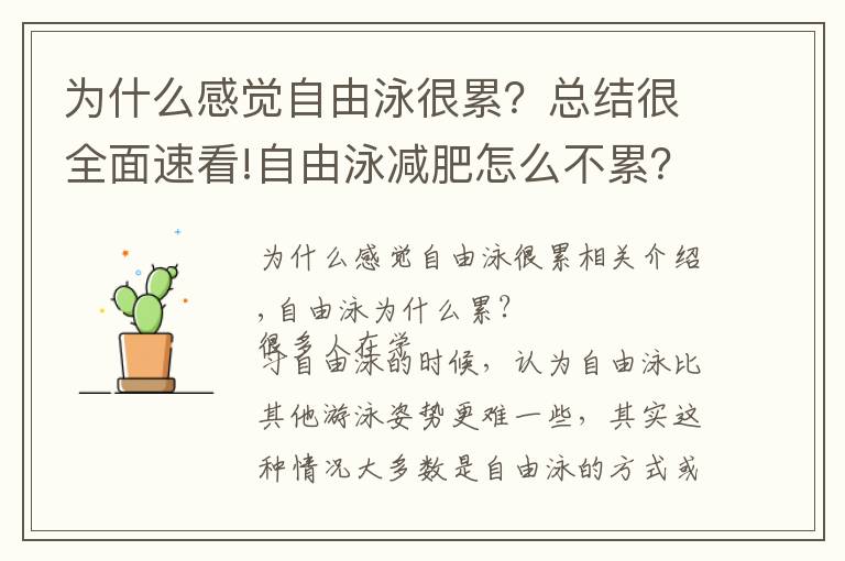 为什么感觉自由泳很累？总结很全面速看!自由泳减肥怎么不累？掌握动作要领就好了