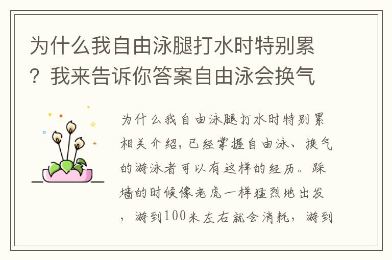 为什么我自由泳腿打水时特别累？我来告诉你答案自由泳会换气却越游越累，常见的三个主要原因