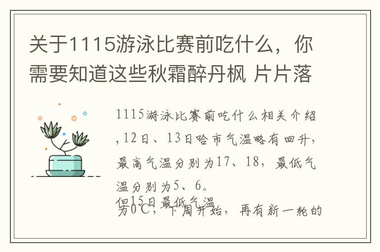 关于1115游泳比赛前吃什么，你需要知道这些秋霜醉丹枫 片片落叶秋意重 绝美留影地点推介（一）——每日联线