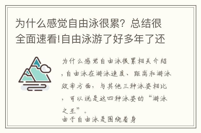 为什么感觉自由泳很累？总结很全面速看!自由泳游了好多年了还是游不过50米？那是因为你没有做好这些事情