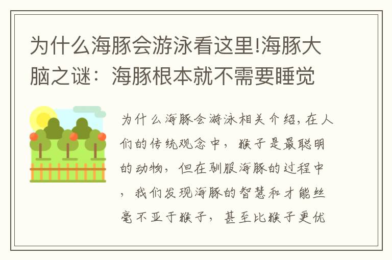 为什么海豚会游泳看这里!海豚大脑之谜：海豚根本就不需要睡觉吗？连着几天不休息地游泳？