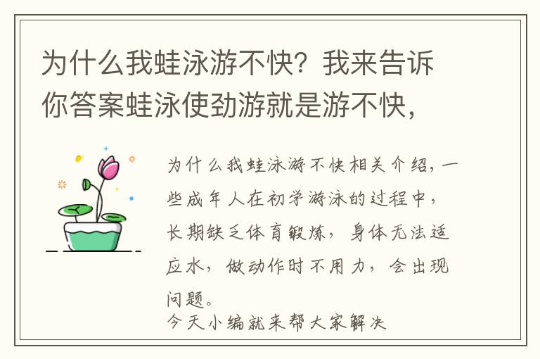为什么我蛙泳游不快？我来告诉你答案蛙泳使劲游就是游不快，怎么办？