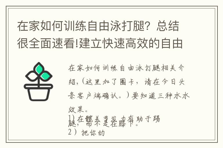 在家如何训练自由泳打腿？总结很全面速看!建立快速高效的自由泳打腿