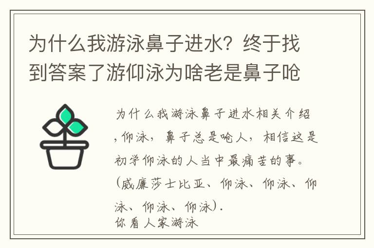 为什么我游泳鼻子进水？终于找到答案了游仰泳为啥老是鼻子呛水？