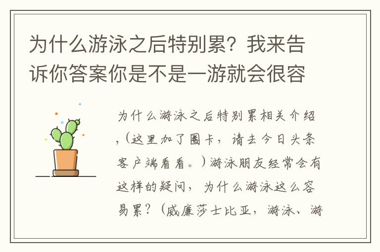 为什么游泳之后特别累？我来告诉你答案你是不是一游就会很容易累了