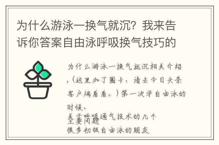 为什么游泳一换气就沉？我来告诉你答案自由泳呼吸换气技巧的四个要素
