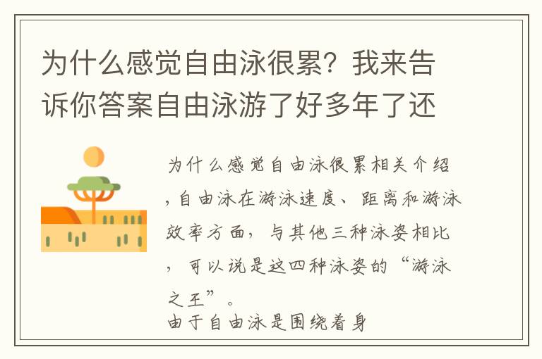 为什么感觉自由泳很累？我来告诉你答案自由泳游了好多年了还是游不过50米？那是因为你没有做好这些事情