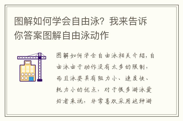 图解如何学会自由泳？我来告诉你答案图解自由泳动作