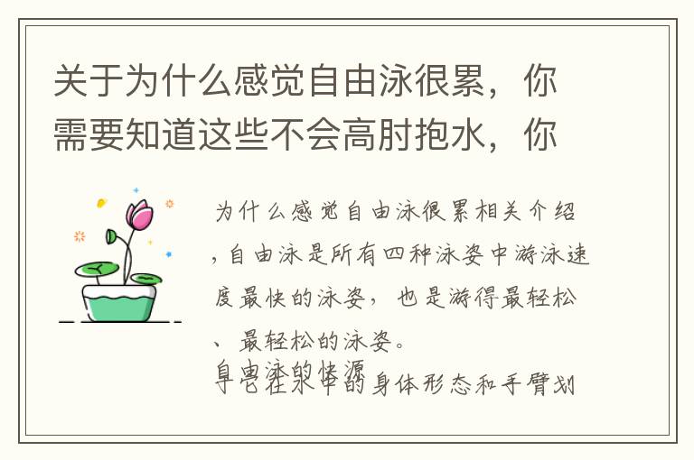 关于为什么感觉自由泳很累，你需要知道这些不会高肘抱水，你的自由泳游起来会很累