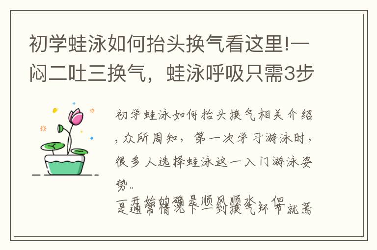 初学蛙泳如何抬头换气看这里!一闷二吐三换气，蛙泳呼吸只需3步轻松搞定！