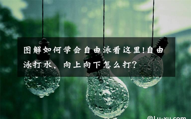 图解如何学会自由泳看这里!自由泳打水，向上向下怎么打？