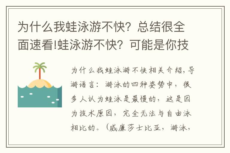 为什么我蛙泳游不快？总结很全面速看!蛙泳游不快？可能是你技术不到位！或许你该这么做