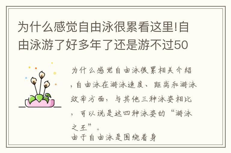 为什么感觉自由泳很累看这里!自由泳游了好多年了还是游不过50米？那是因为你没有做好这些事情