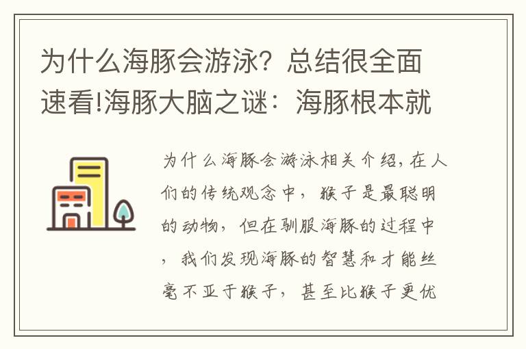 为什么海豚会游泳？总结很全面速看!海豚大脑之谜：海豚根本就不需要睡觉吗？连着几天不休息地游泳？