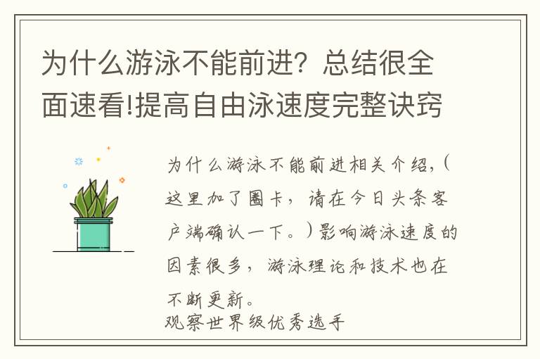 为什么游泳不能前进？总结很全面速看!提高自由泳速度完整诀窍，“从头到脚”解析