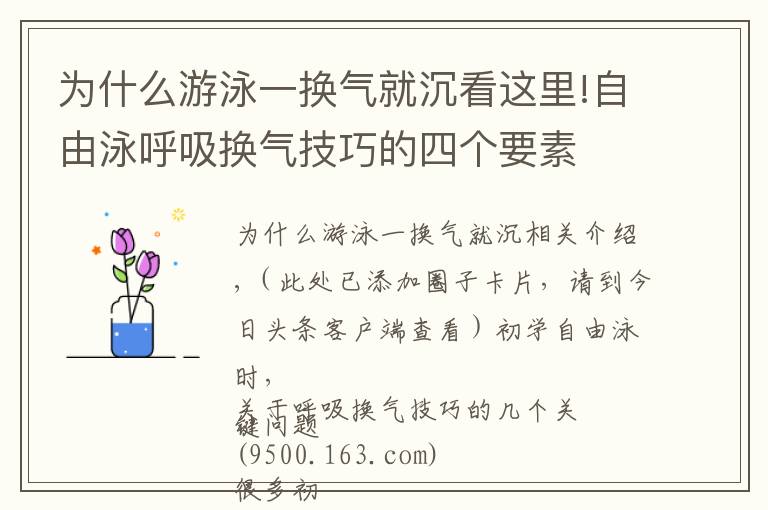 为什么游泳一换气就沉看这里!自由泳呼吸换气技巧的四个要素