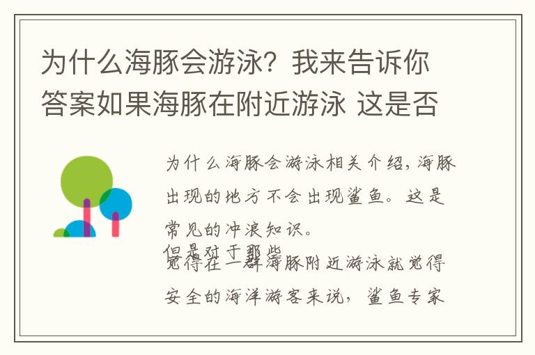 为什么海豚会游泳？我来告诉你答案如果海豚在附近游泳 这是否意味着鲨鱼不在附近？