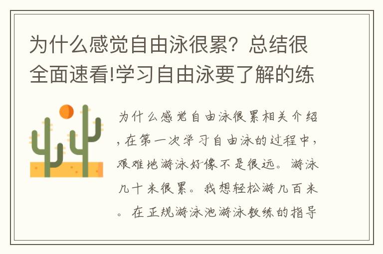 为什么感觉自由泳很累？总结很全面速看!学习自由泳要了解的练习体会之十