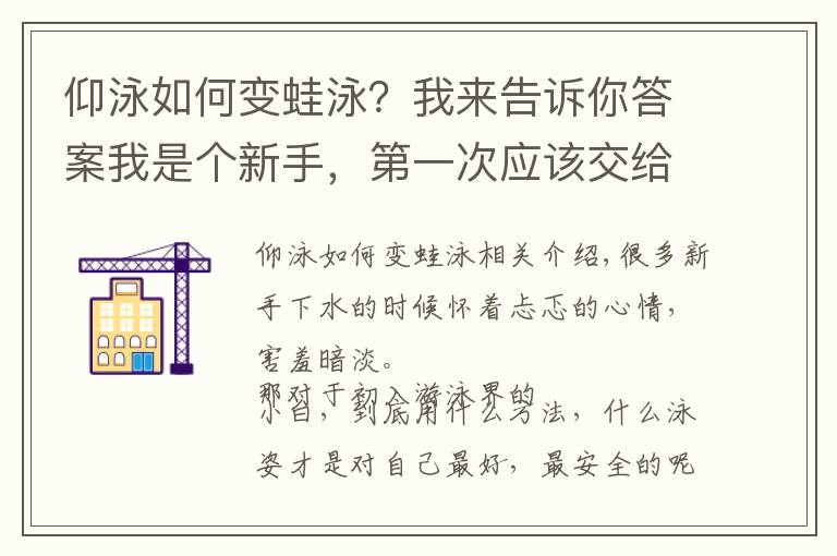仰泳如何变蛙泳？我来告诉你答案我是个新手，第一次应该交给哪个泳姿呢？！