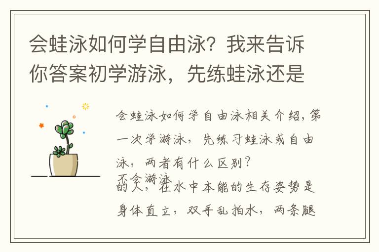 会蛙泳如何学自由泳？我来告诉你答案初学游泳，先练蛙泳还是自由泳，二者什么区别？