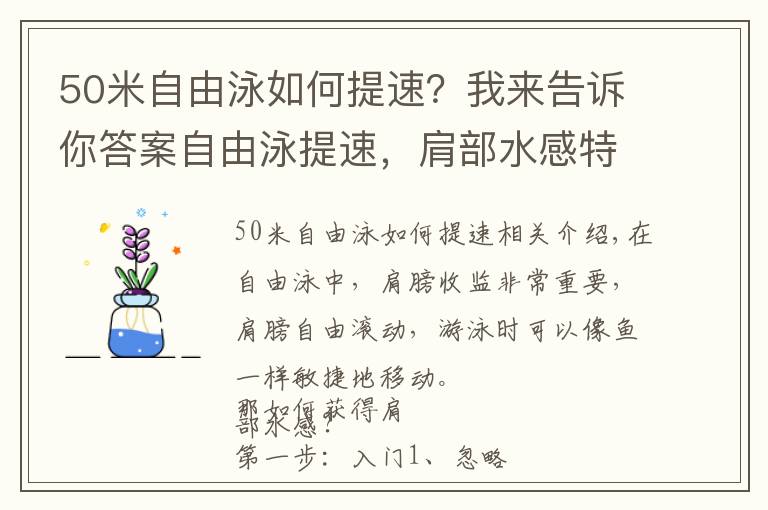 50米自由泳如何提速？我来告诉你答案自由泳提速，肩部水感特别重要
