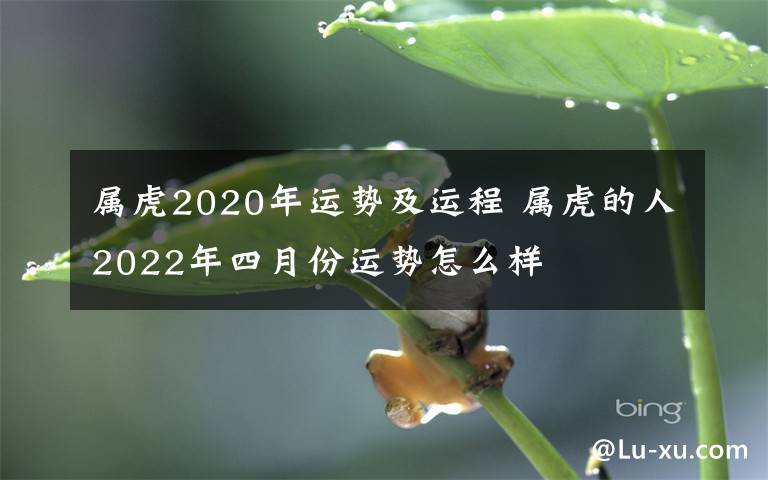 属虎2020年运势及运程 属虎的人2022年四月份运势怎么样