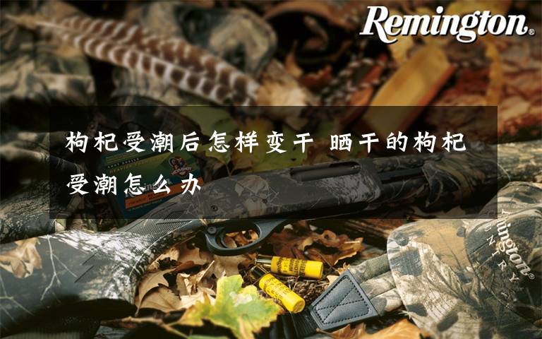 枸杞受潮后怎样变干 晒干的枸杞受潮怎么办
