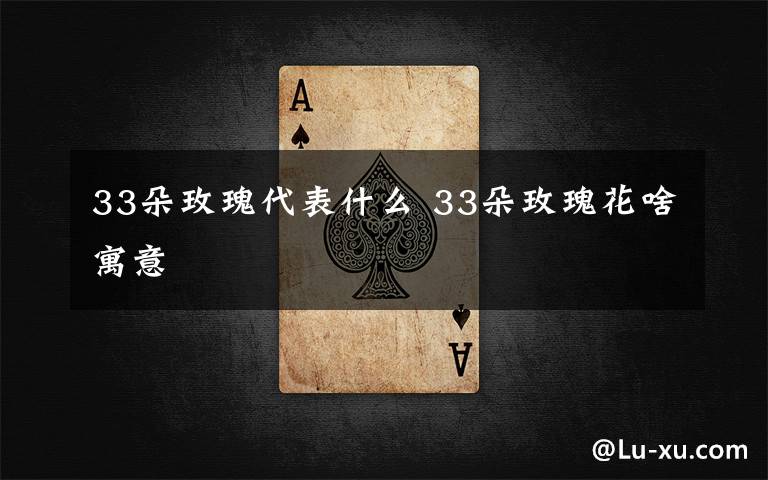 33朵玫瑰代表什么 33朵玫瑰花啥寓意