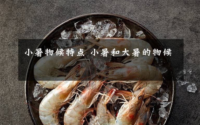 小暑物候特点 小暑和大暑的物候