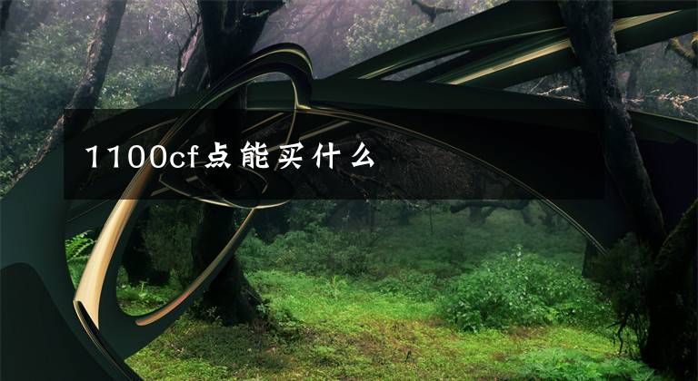 1100cf点能买什么